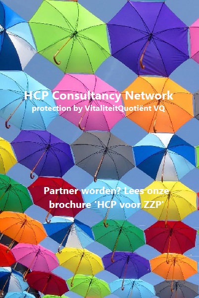 20211010 VGNL Banner HCP Consultancy Network pexels photo 1486861 parapluus